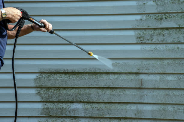 Best Residential Exterior Washing  in USA